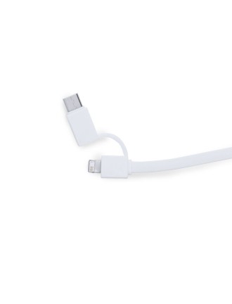 Charger Pikat