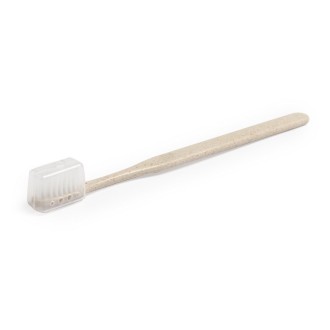 Toothbrush Cleidol