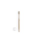 Toothbrush Cleidol