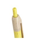 Pen Rosdy