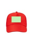 Cap Clipak