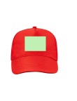 Cap Clipak