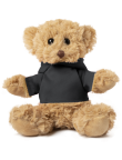 Teddy Loony