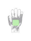 Gloves Hetson
