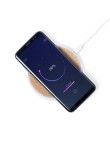 Charger Livor
