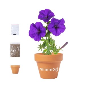 Flowerpot Soltax