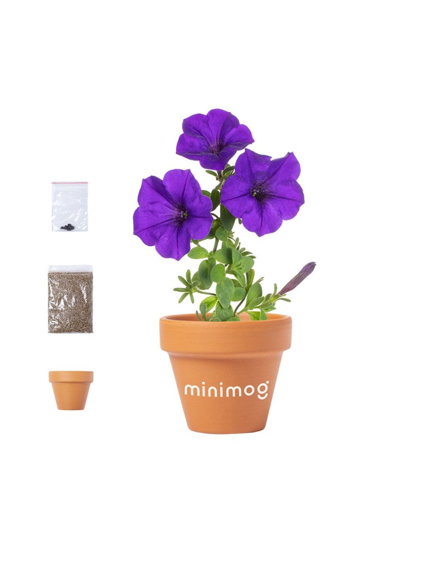 Flowerpot Soltax