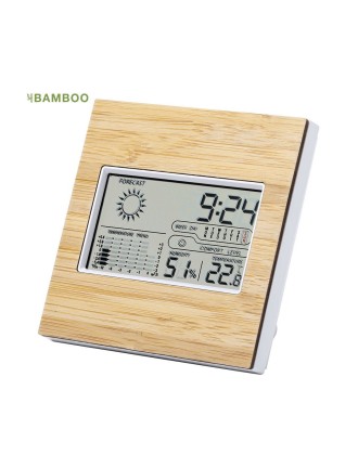 Weather Station Behox
