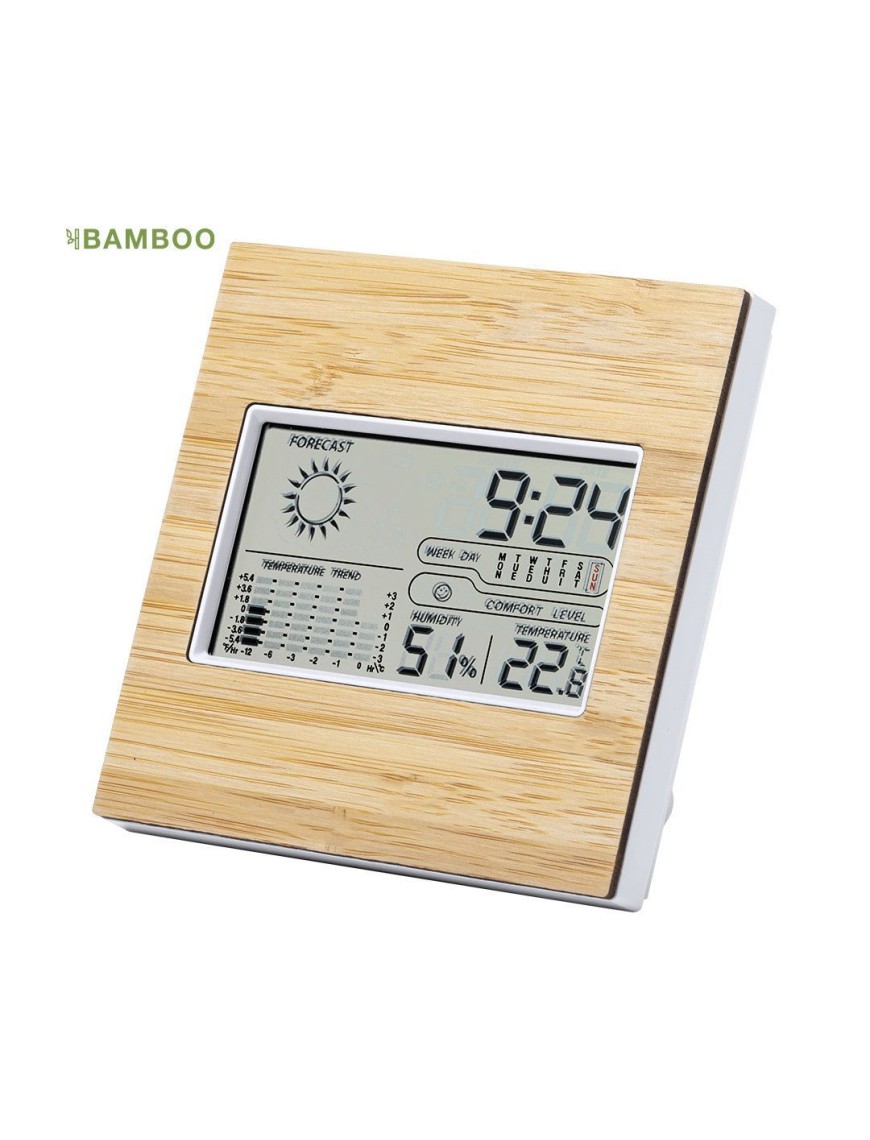 Weather Station Behox