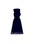 Scarf Polar