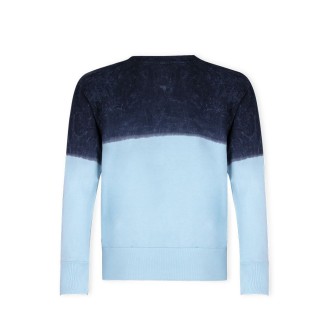 Adult Sweatshirt Truyi