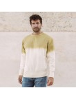 Adult Sweatshirt Truyi