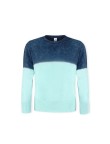 Adult Sweatshirt Truyi