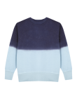 Adult Sweatshirt Truyi