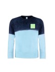 Adult Sweatshirt Truyi
