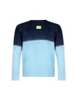 Adult Sweatshirt Truyi