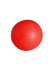 Beach Ball Portobello