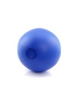 Beach Ball Portobello