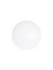 Beach Ball Portobello