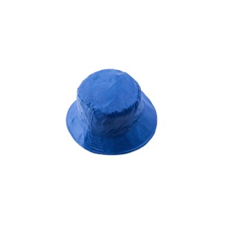 Reversible Hat Nesy