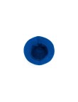 Reversible Hat Nesy