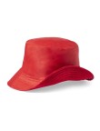 Reversible Hat Nesy