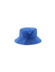 Reversible Hat Nesy