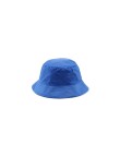 Reversible Hat Nesy