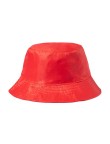 Reversible Hat Nesy