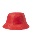 Reversible Hat Nesy