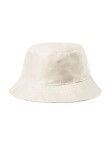 Reversible Hat Nesy
