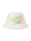 Reversible Hat Nesy