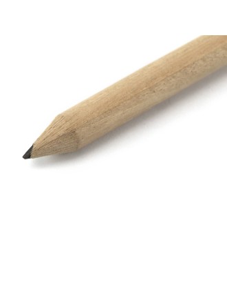 Pencil Miniature