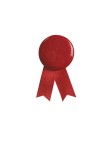 Pin Loop Solidario