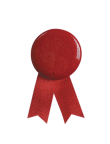 Pin Loop Solidario