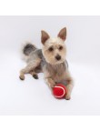 Ball Niki