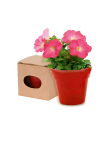 Flowerpot Advert