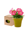 Flowerpot Advert