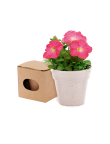 Flowerpot Advert